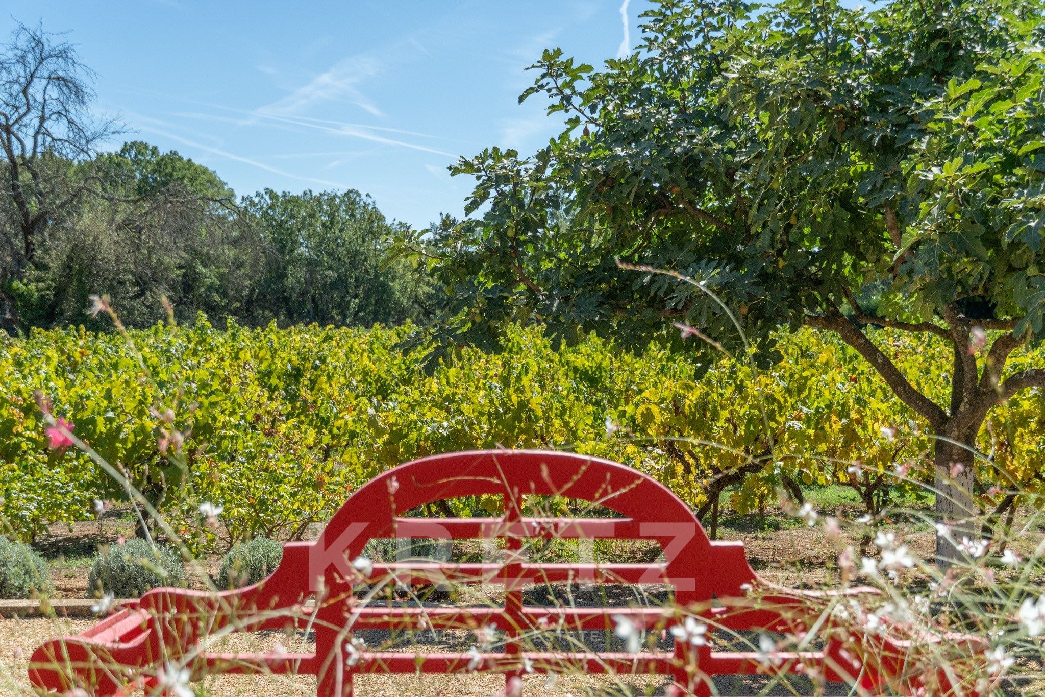 ROGNES_ MAS DE CHARME EN PIERRE DE 350 M2 RÉNOVÉ, 1 HECTARE AVEC VIGNES