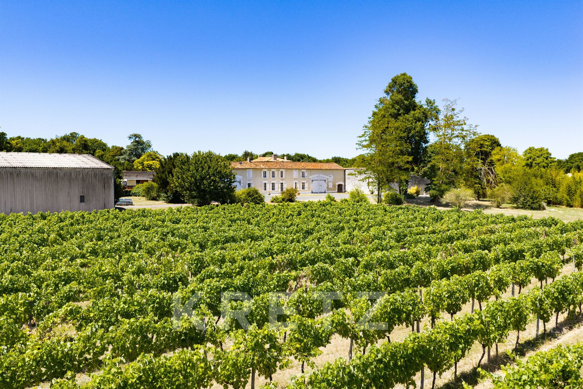 Exceptional Wine Estate – 70 hectares in the heart of the Cognac region