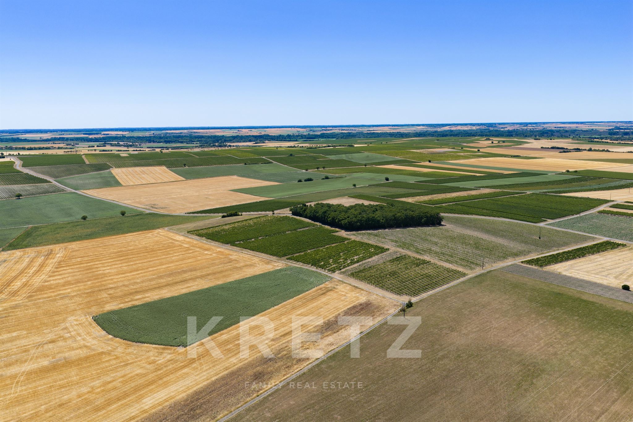 Exceptional Wine Estate – 70 hectares in the heart of the Cognac region