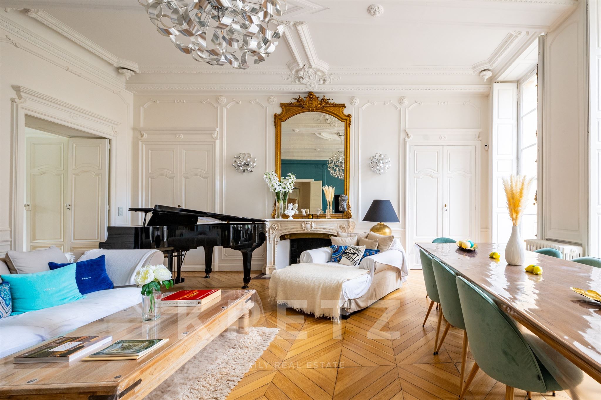Burgundy -DIJON Historic center- Luxury apartment in a private mansion- private parking
