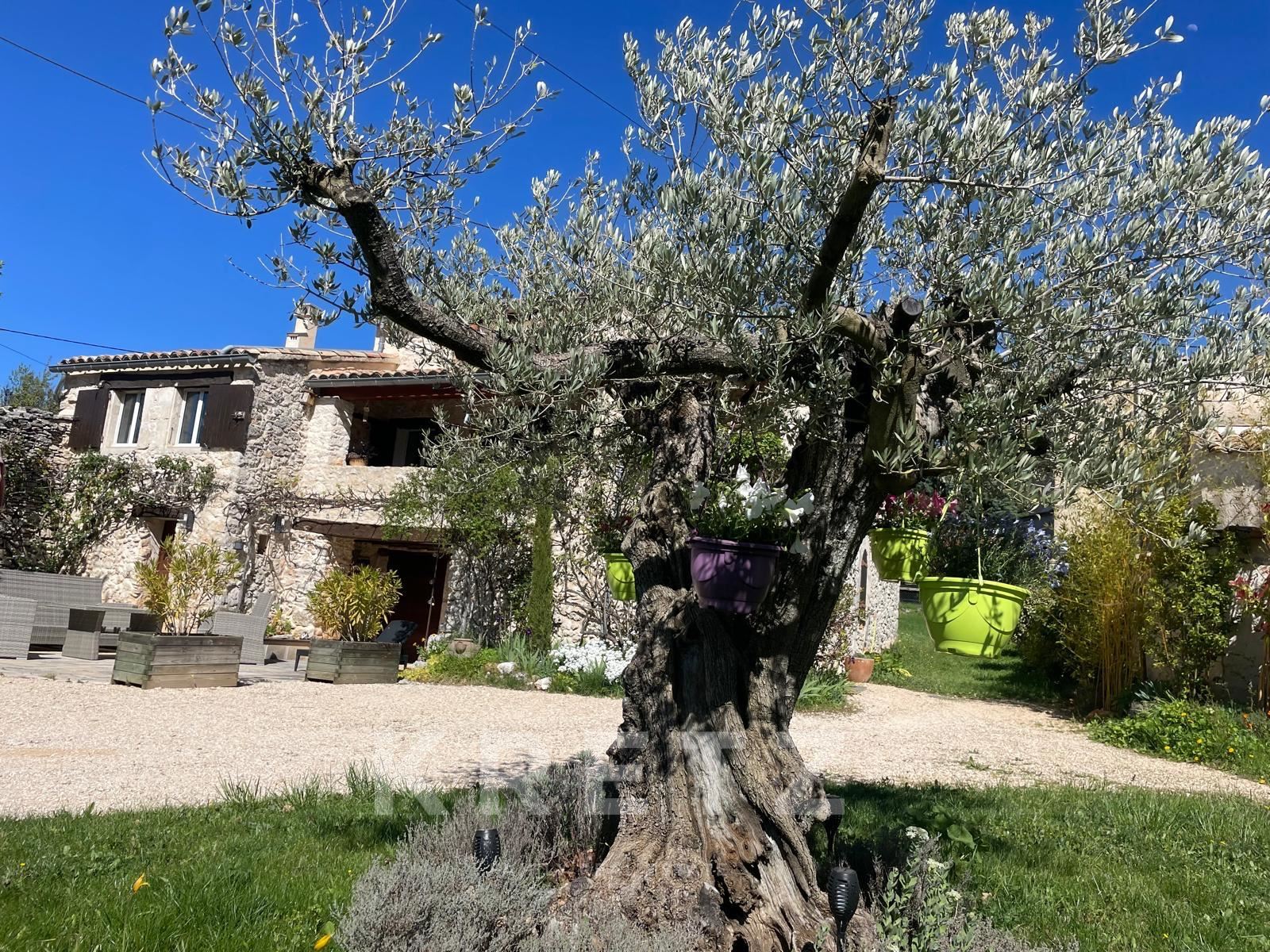 Renovated Provencal farmhouse