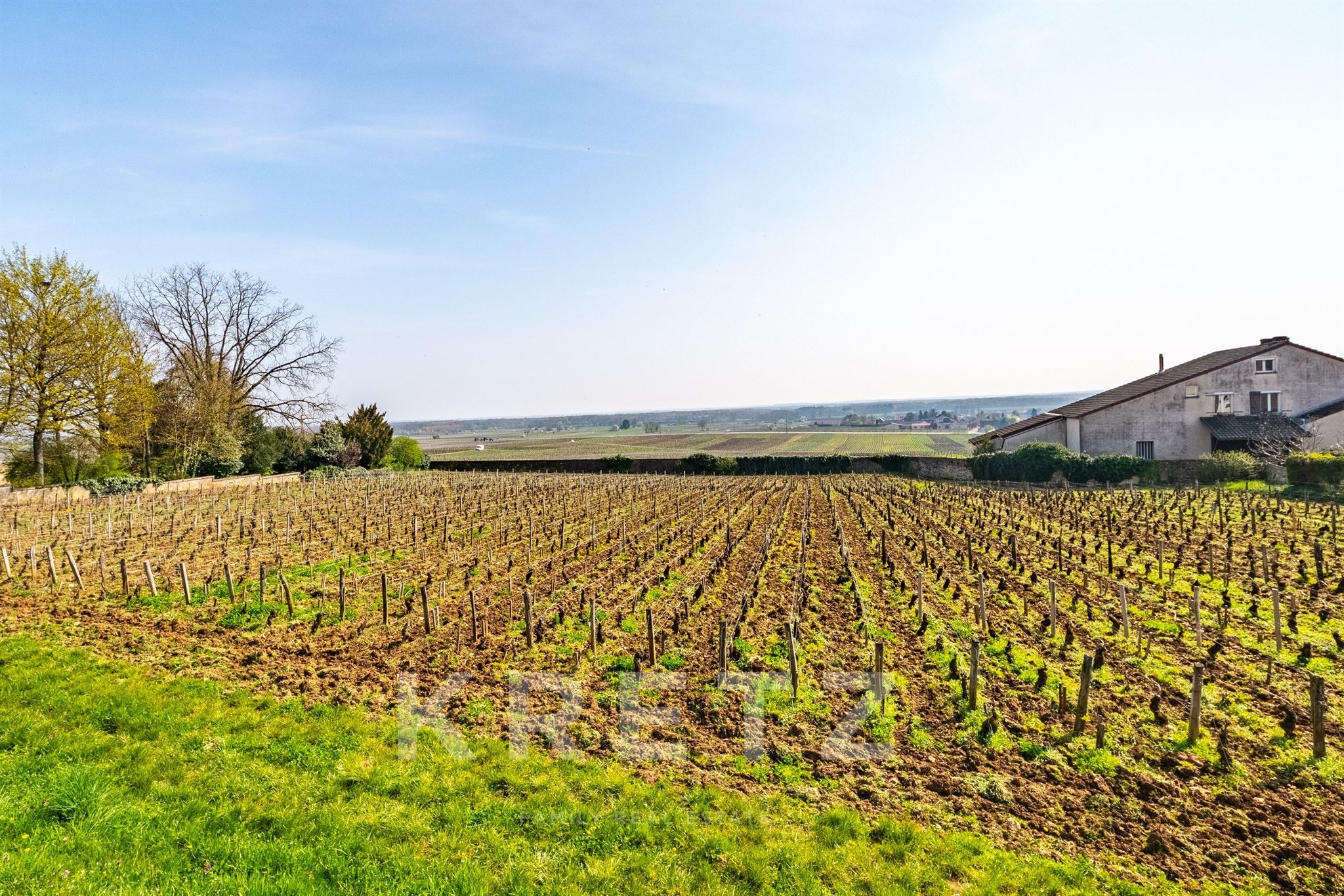 Burgundy - Winemaker's house 198 m2 - 5 bedrooms - vaulted cellar - vineyard view