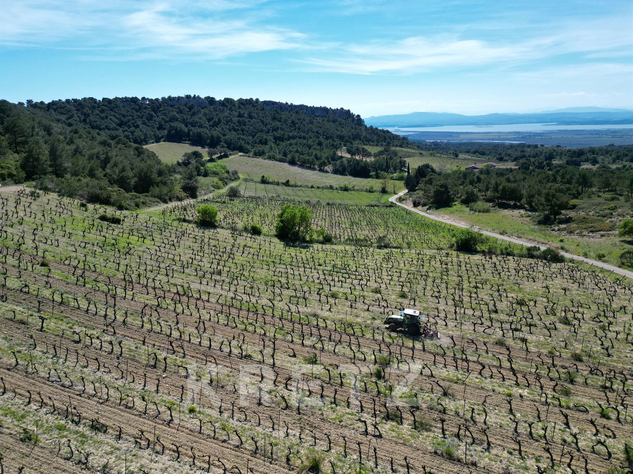 Domaine d'exception au coeur du massif de la Clape