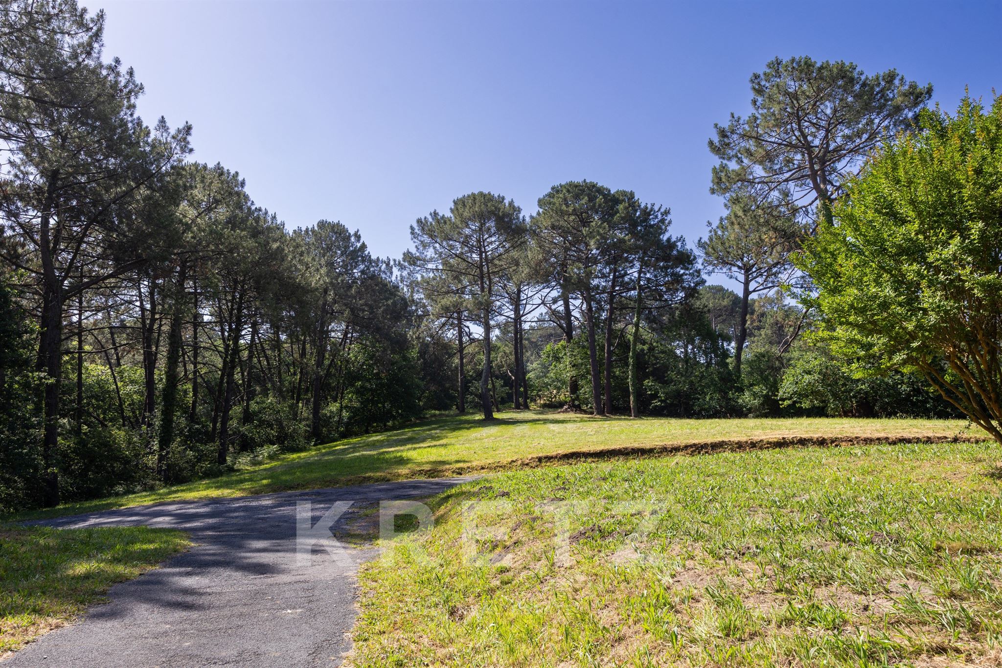 Bidart — Villa to Reinvent on 16,000 m² Piscinable Land