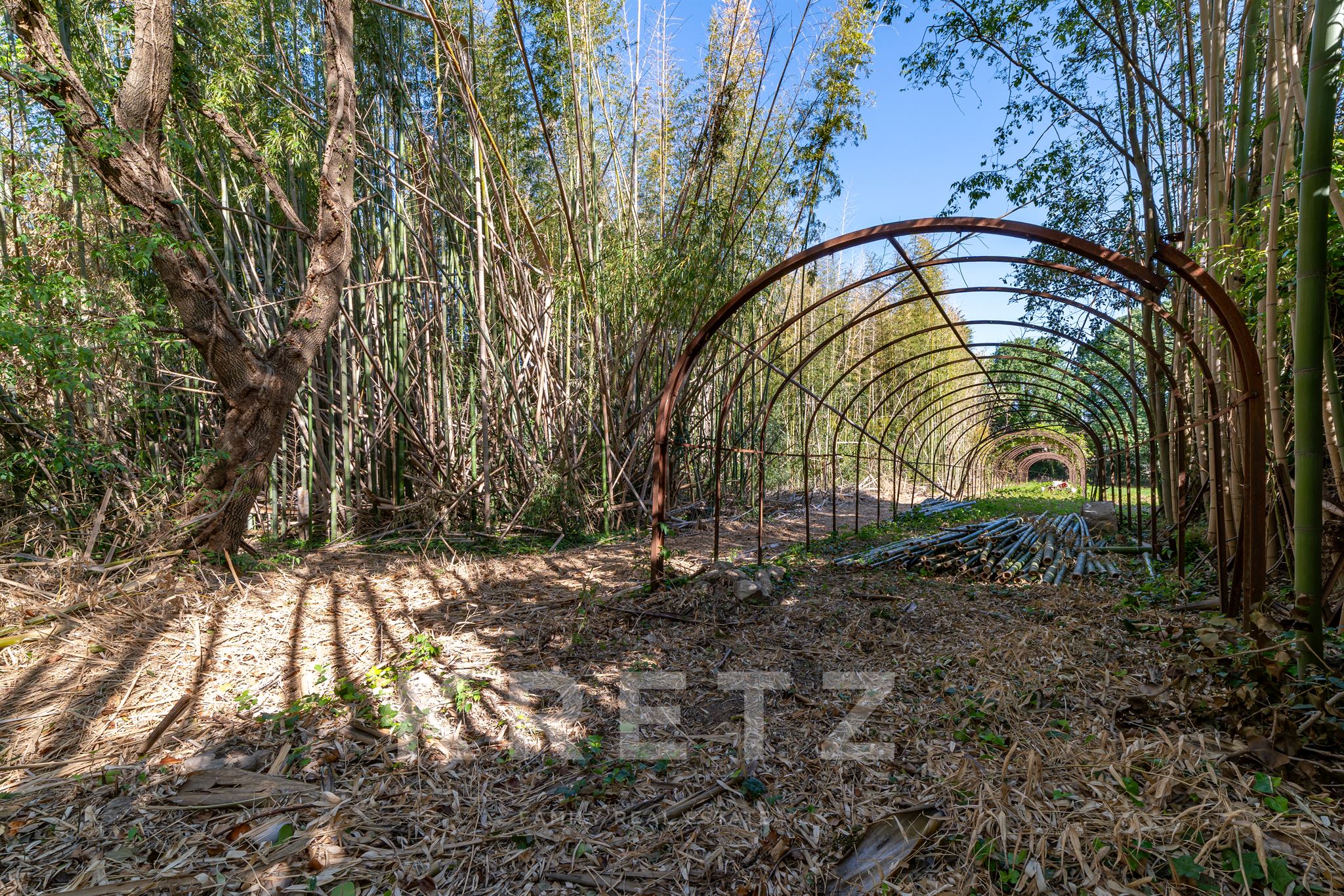 Property with 5000m² garden in town center