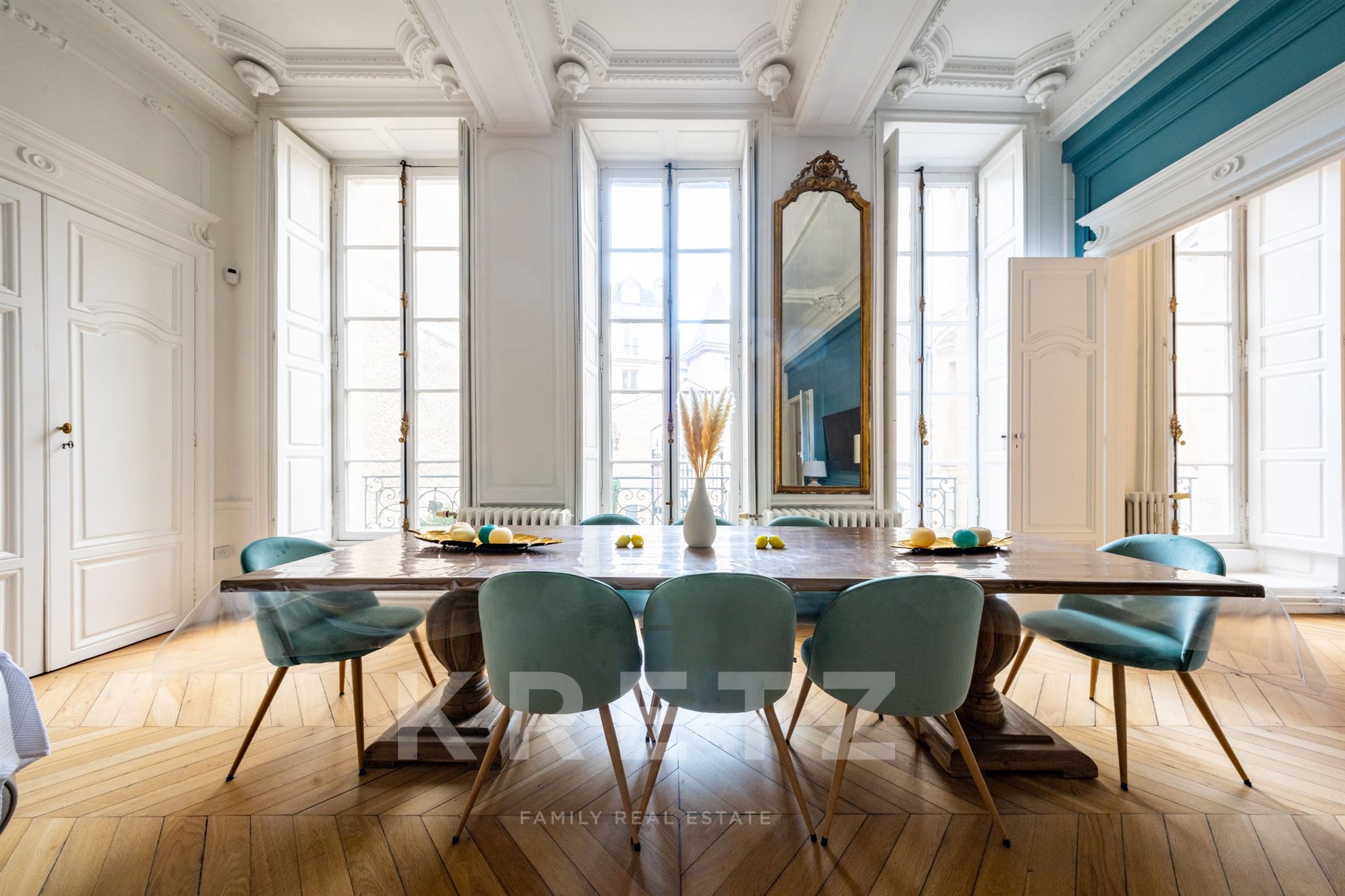 Burgundy -DIJON Historic center- Luxury apartment in a private mansion- private parking