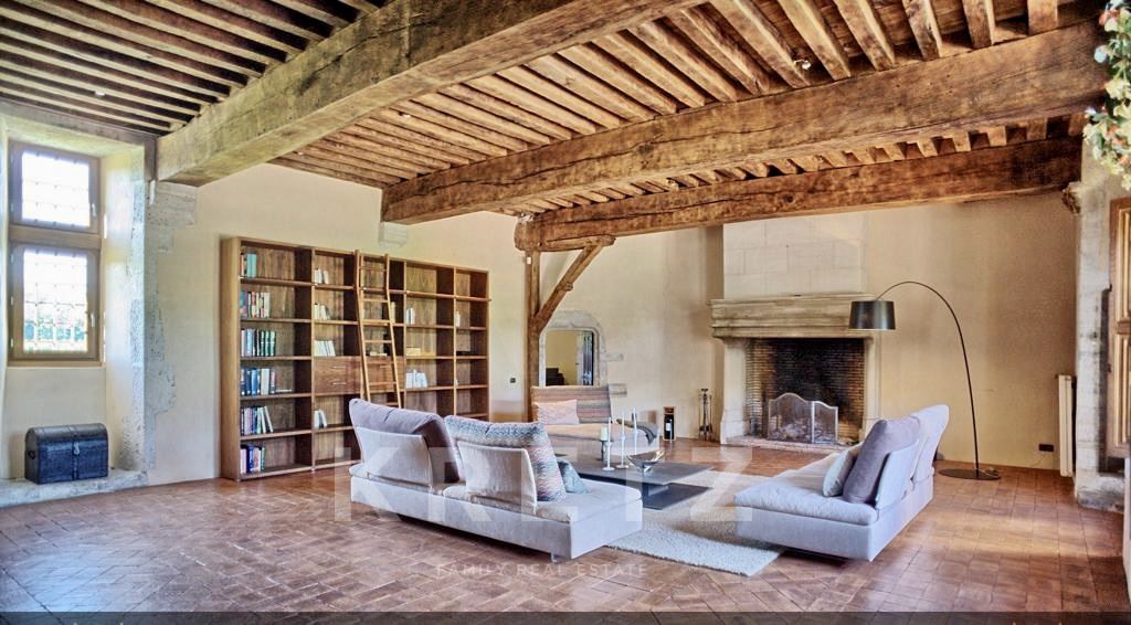 16th century chateau with swimming pool and dependances