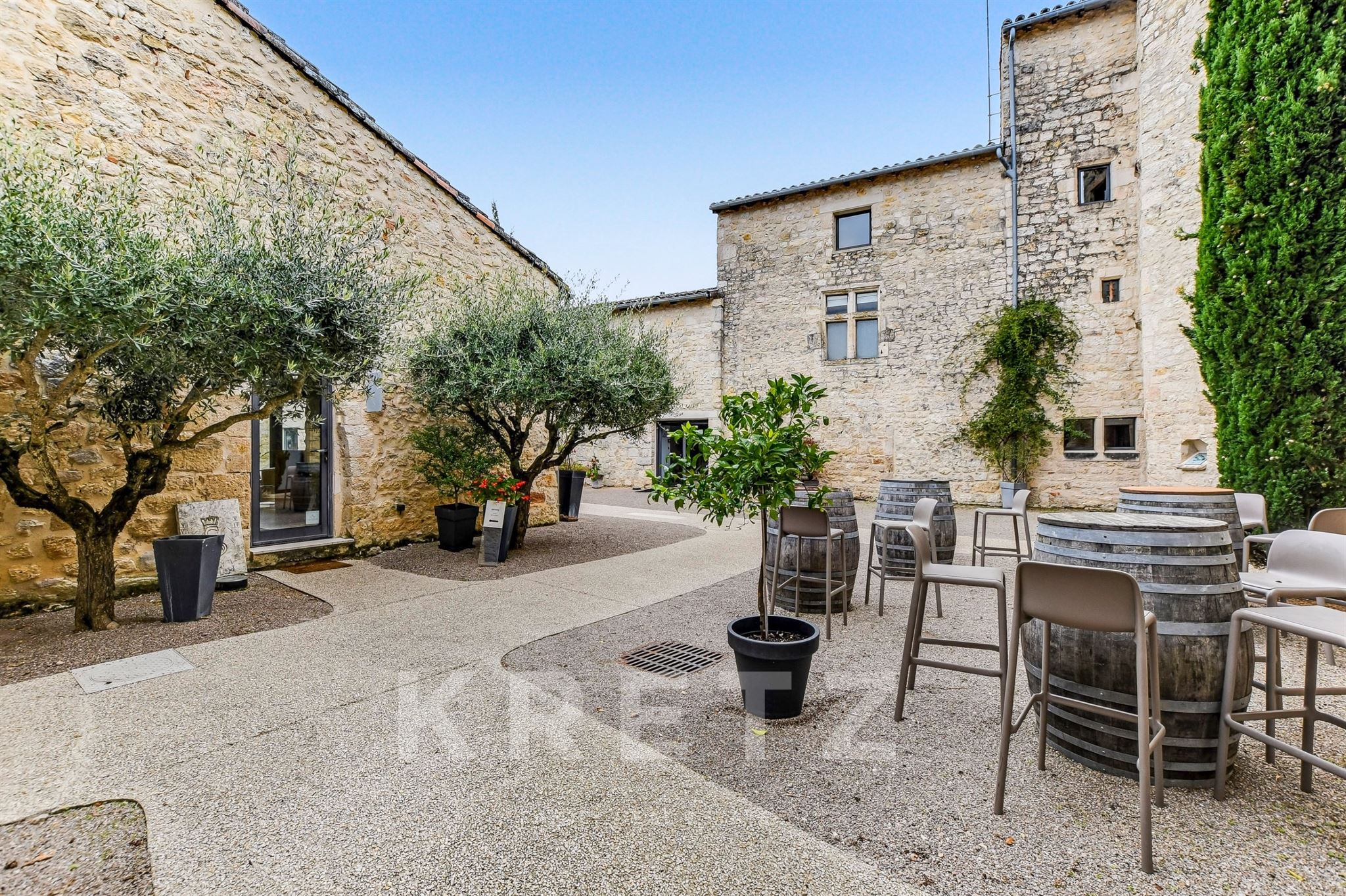 Near Gaillac and Albi – Château in the heart of the vineyards – 2.5-hectare estate