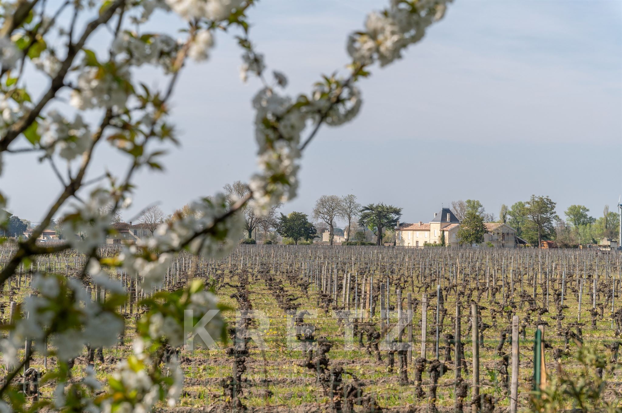 Saint-Émilion – 240m² stone house with indoor swimming pool and large garage