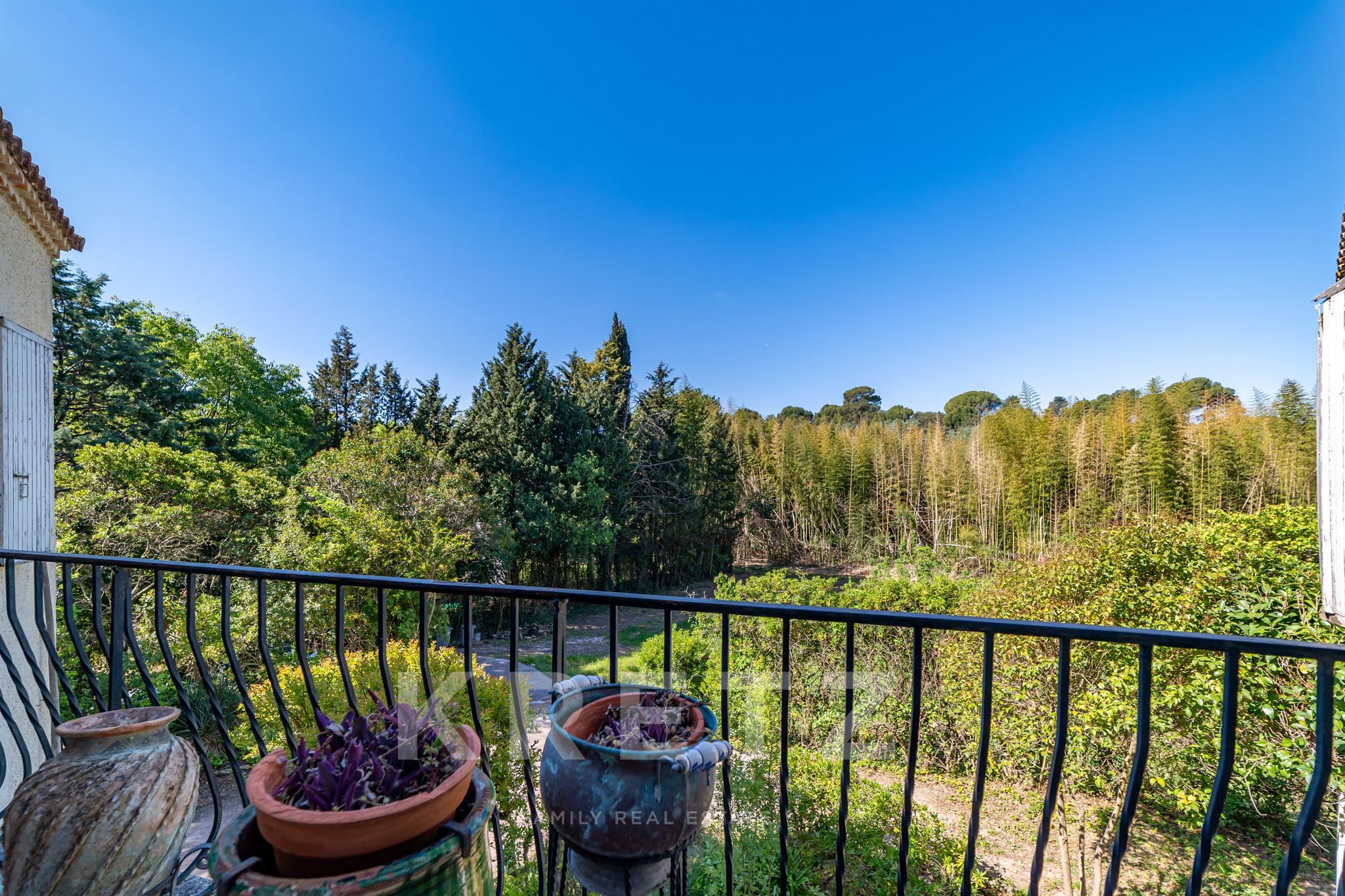 Property on 8000m² in the center of town