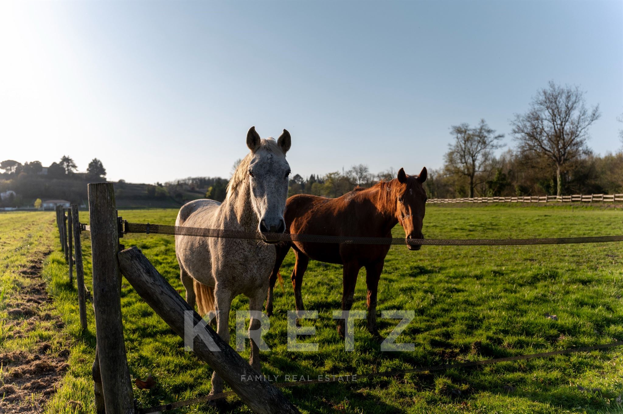 7.8-hectare estate with a 605 sqm manor house, guest house and wellness area, 30 minutes from Bordea