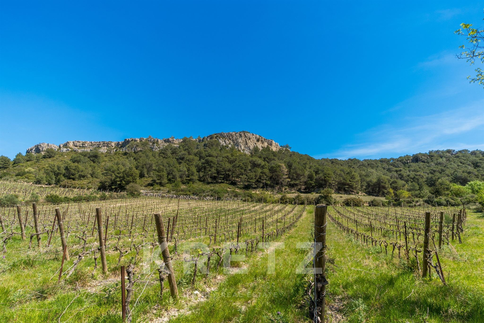 Domaine d'exception au coeur du massif de la Clape
