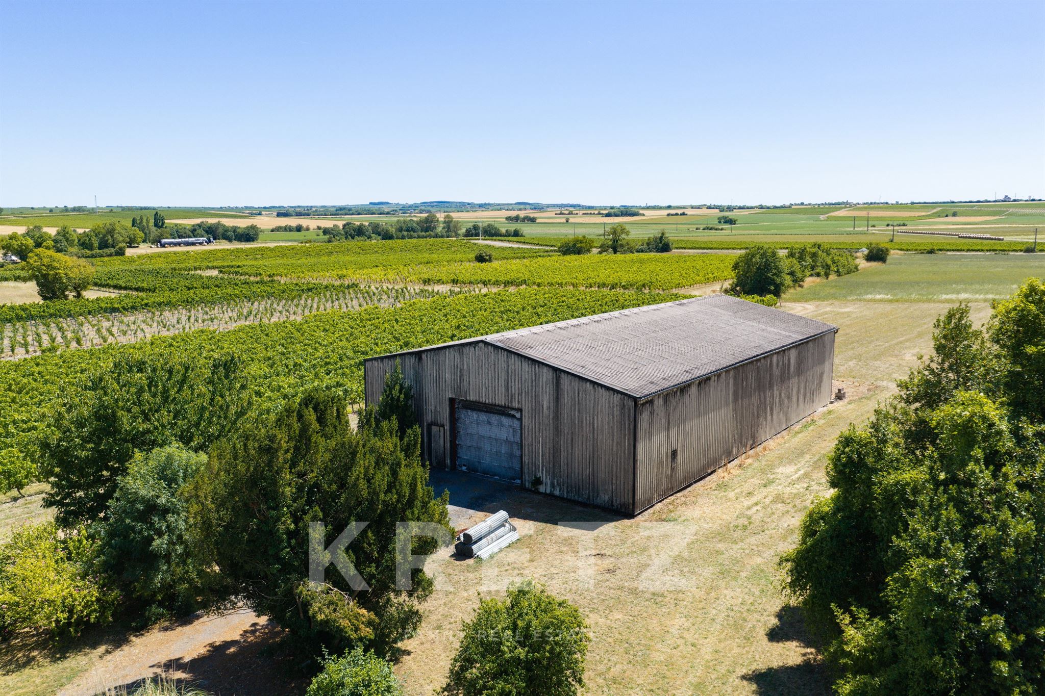 Exceptional Wine Estate – 70 hectares in the heart of the Cognac region