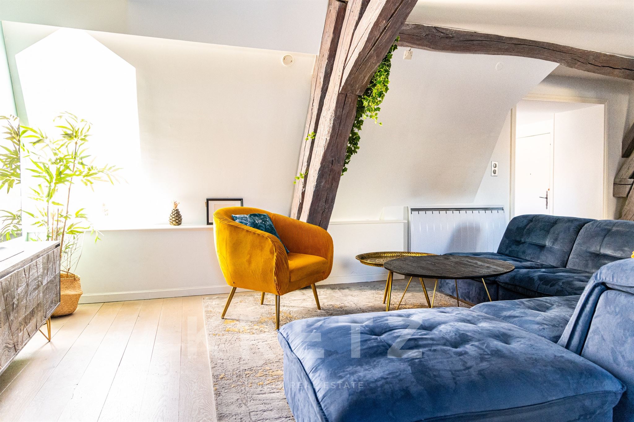 A rare find in Dijon - Apartment in a 17th-century private mansion with parking and park