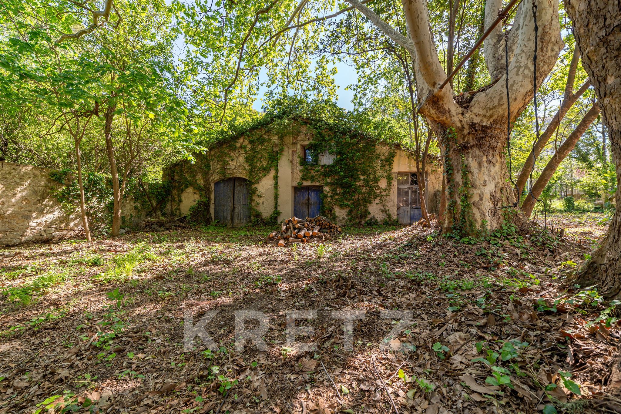 Property on 8000m² in the center of town