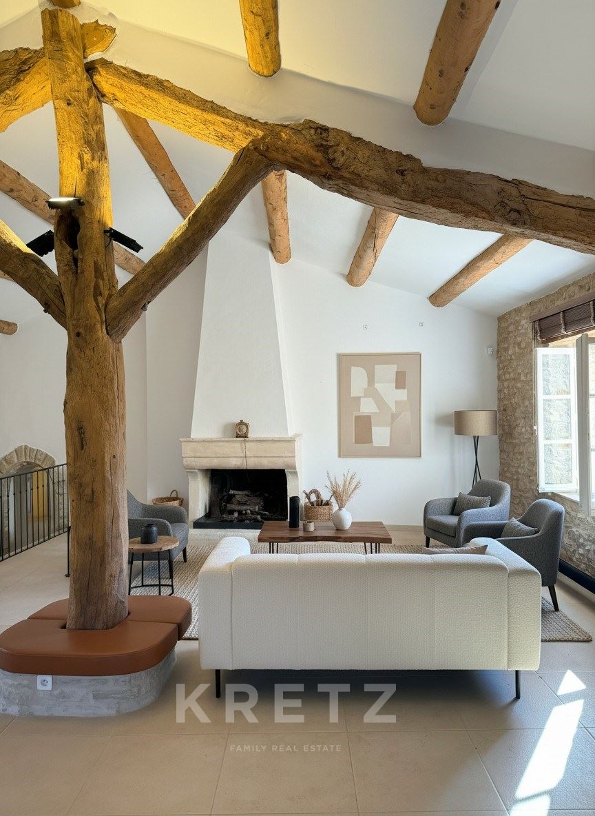 Fully renovated mill with SPA