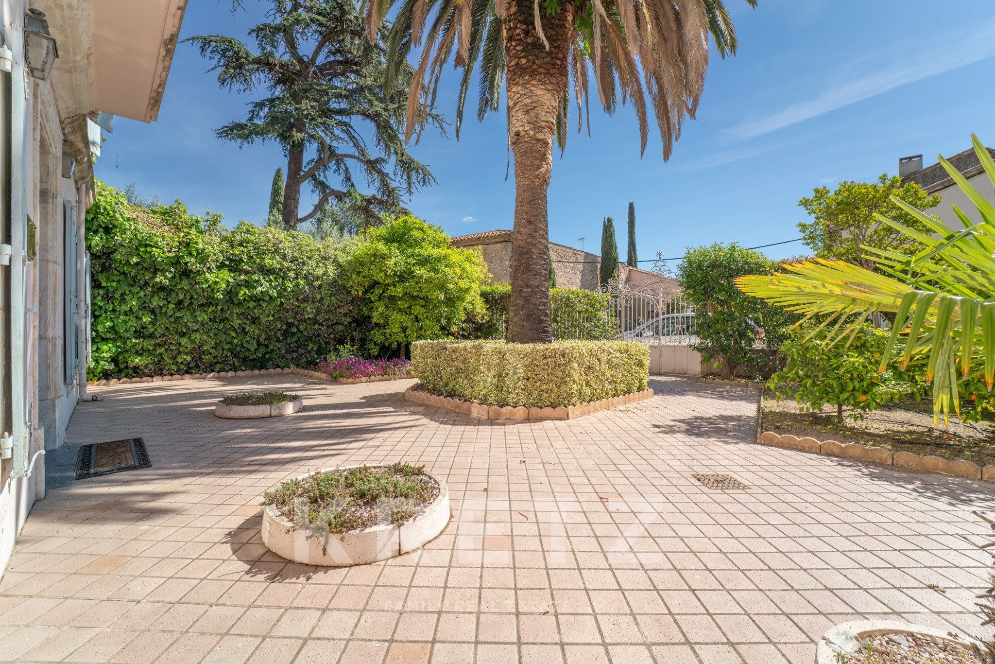 Mansion with a tree-lined garden