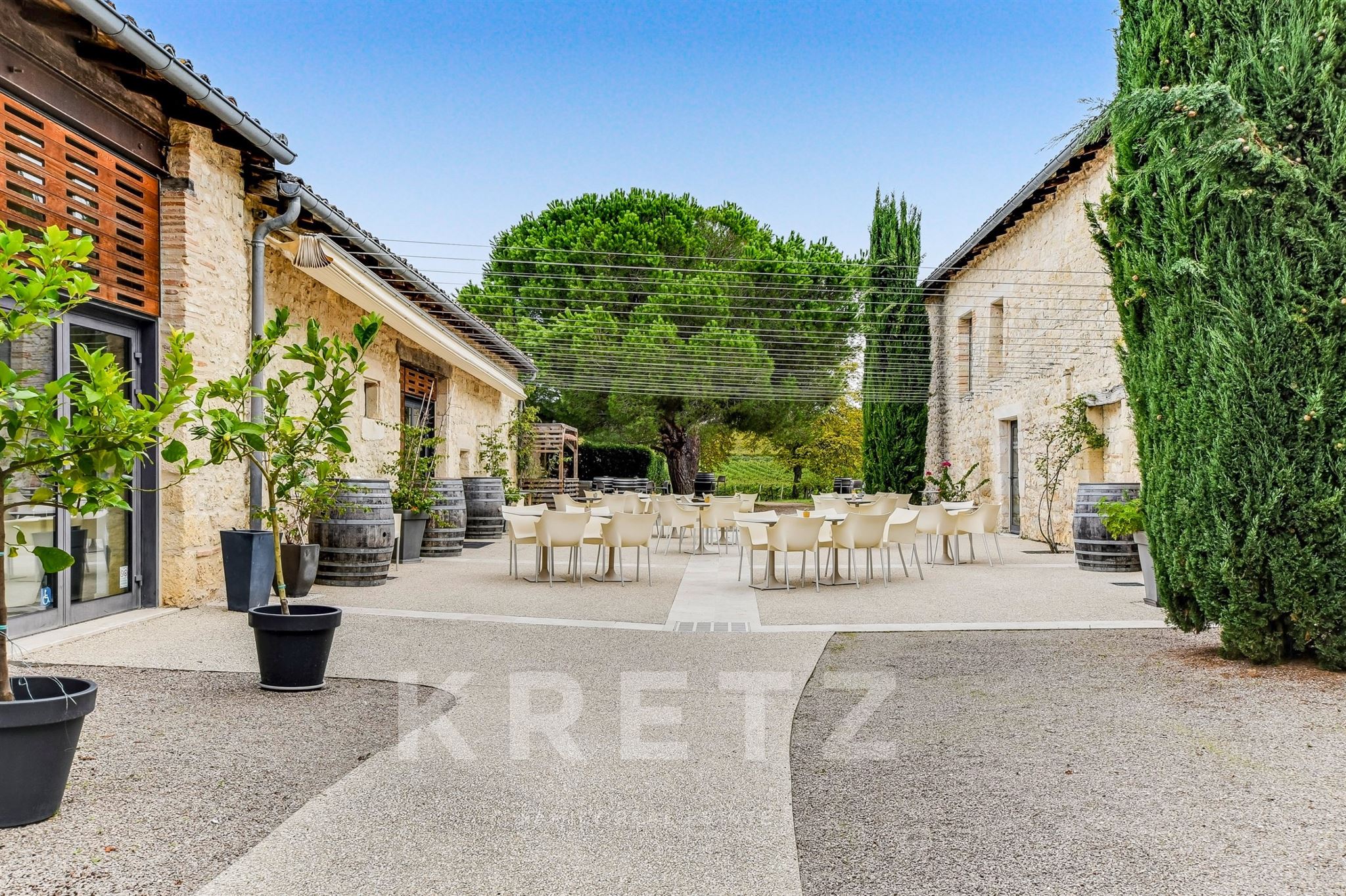 Near Gaillac and Albi – Château in the heart of the vineyards – 2.5-hectare estate
