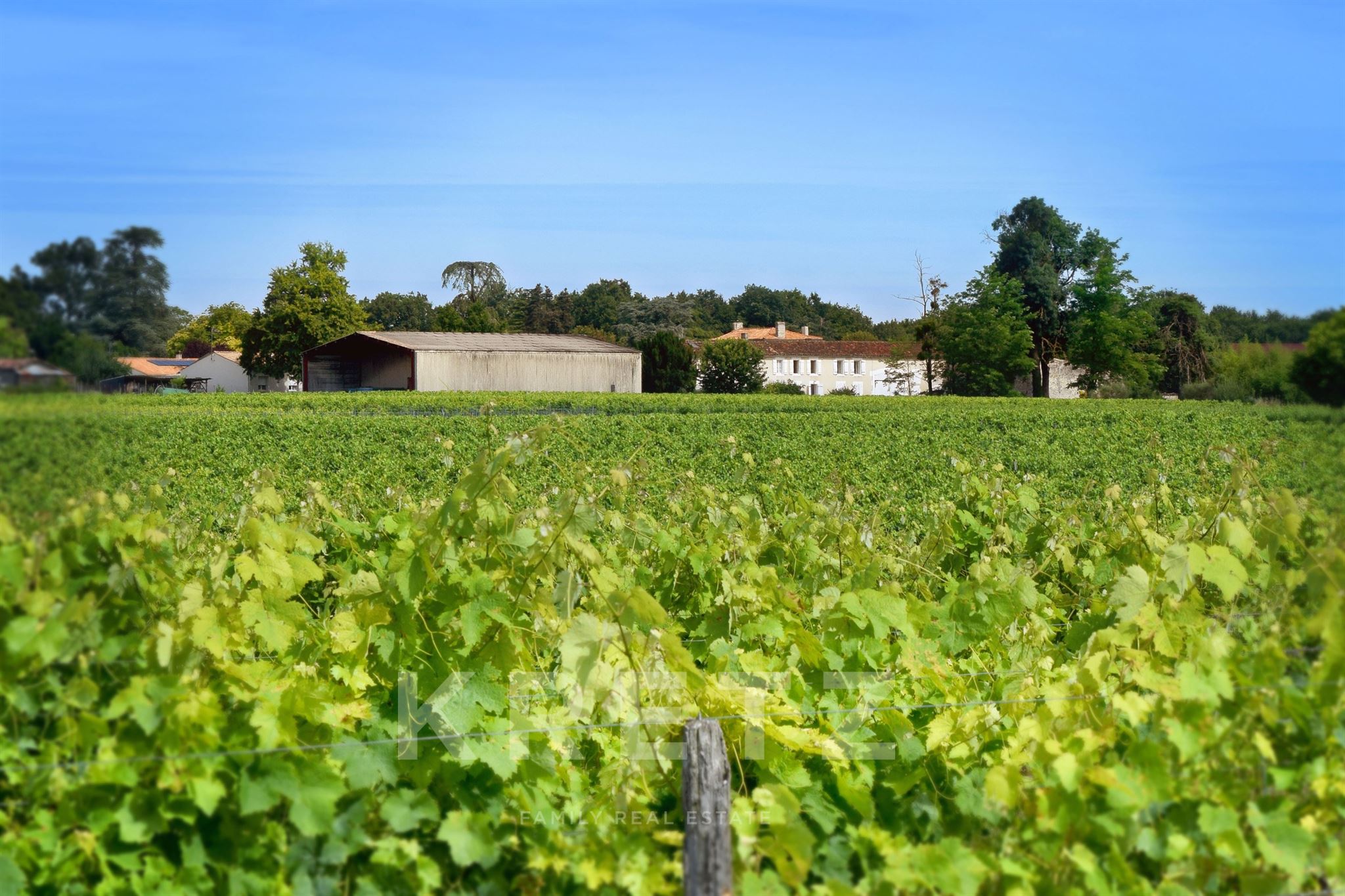Exceptional Wine Estate – 70 hectares in the heart of the Cognac region